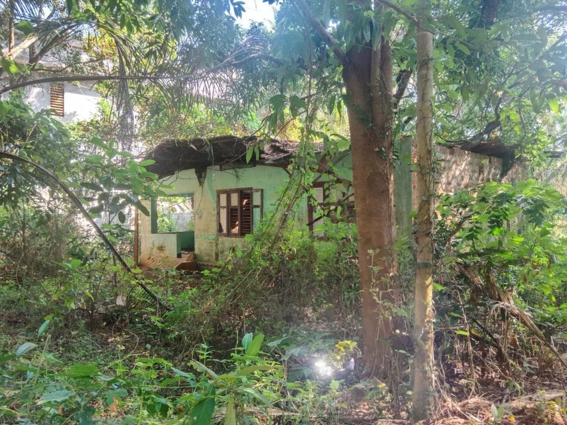Property Photos 6
