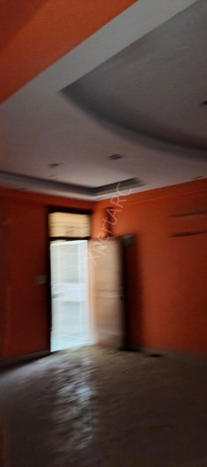 Property Photos 37