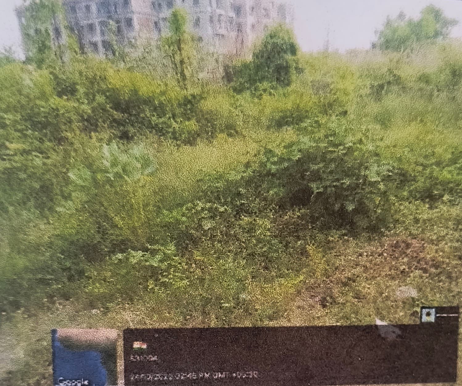 Property Photos 2