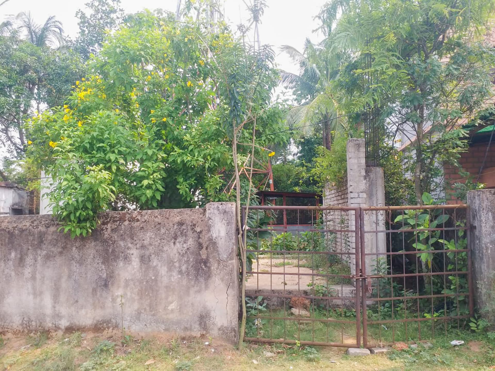 Property Photos 18