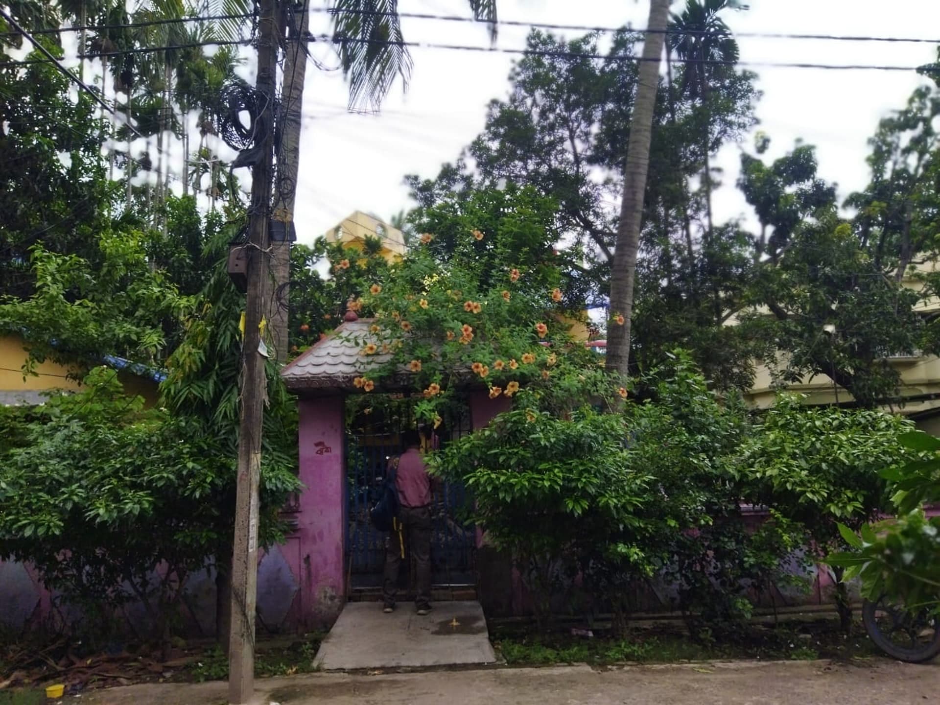Property Photos 2
