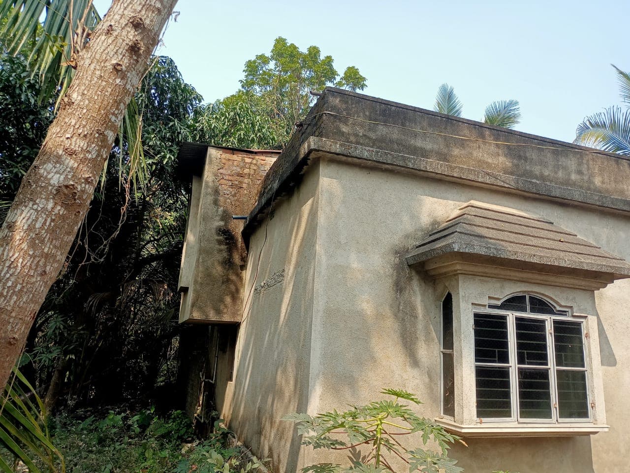 Property Photos 4