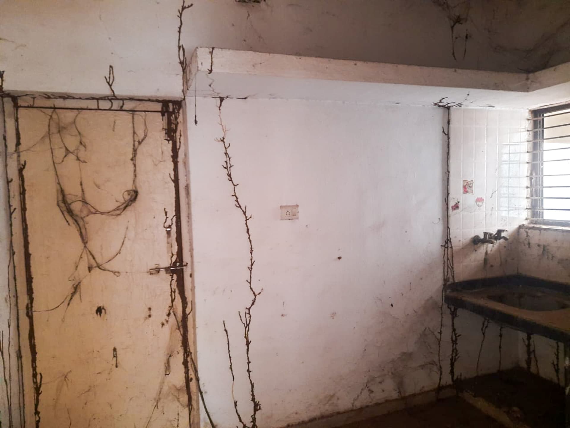 Property Photos 5