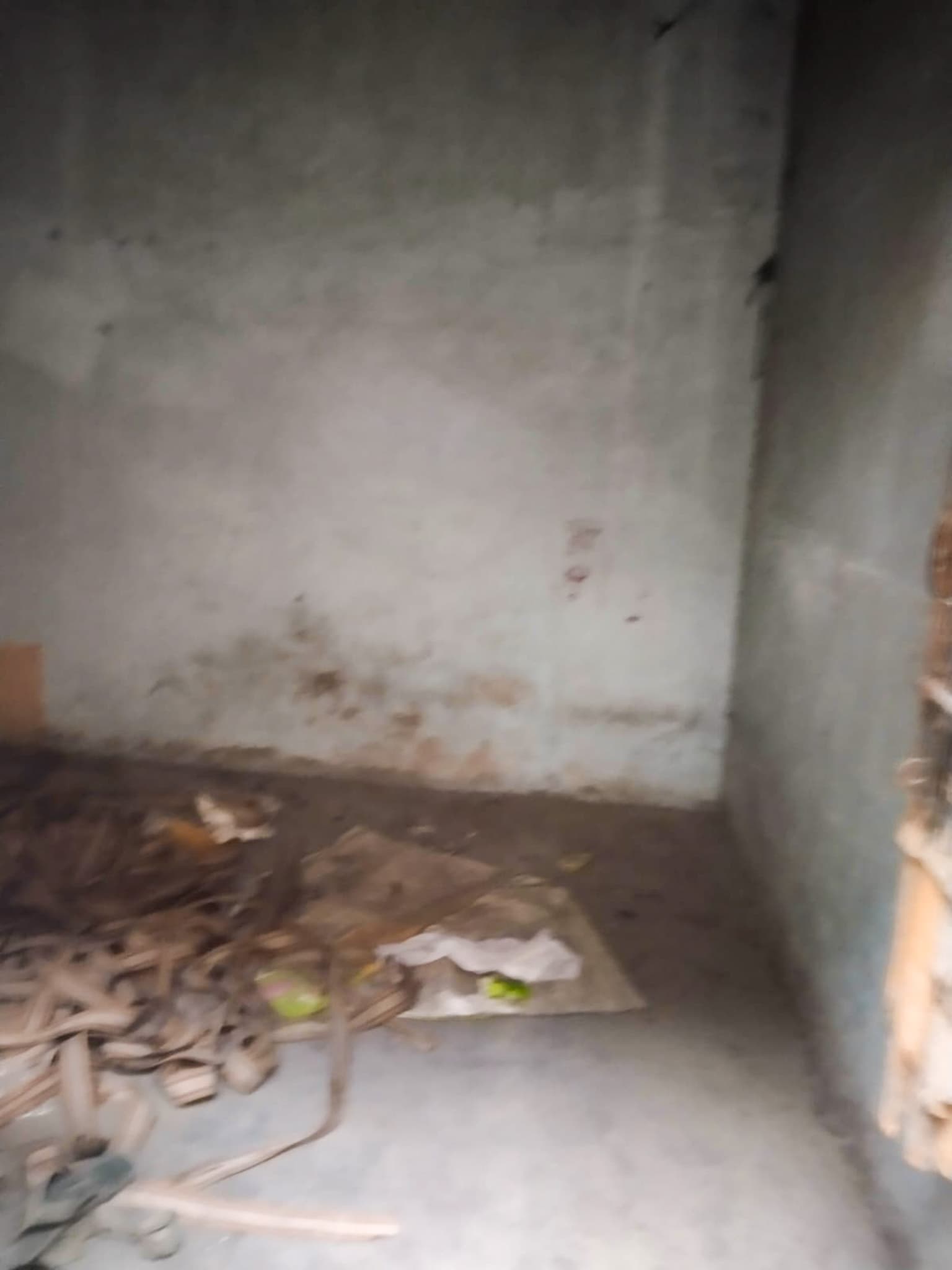 Property Photos 4
