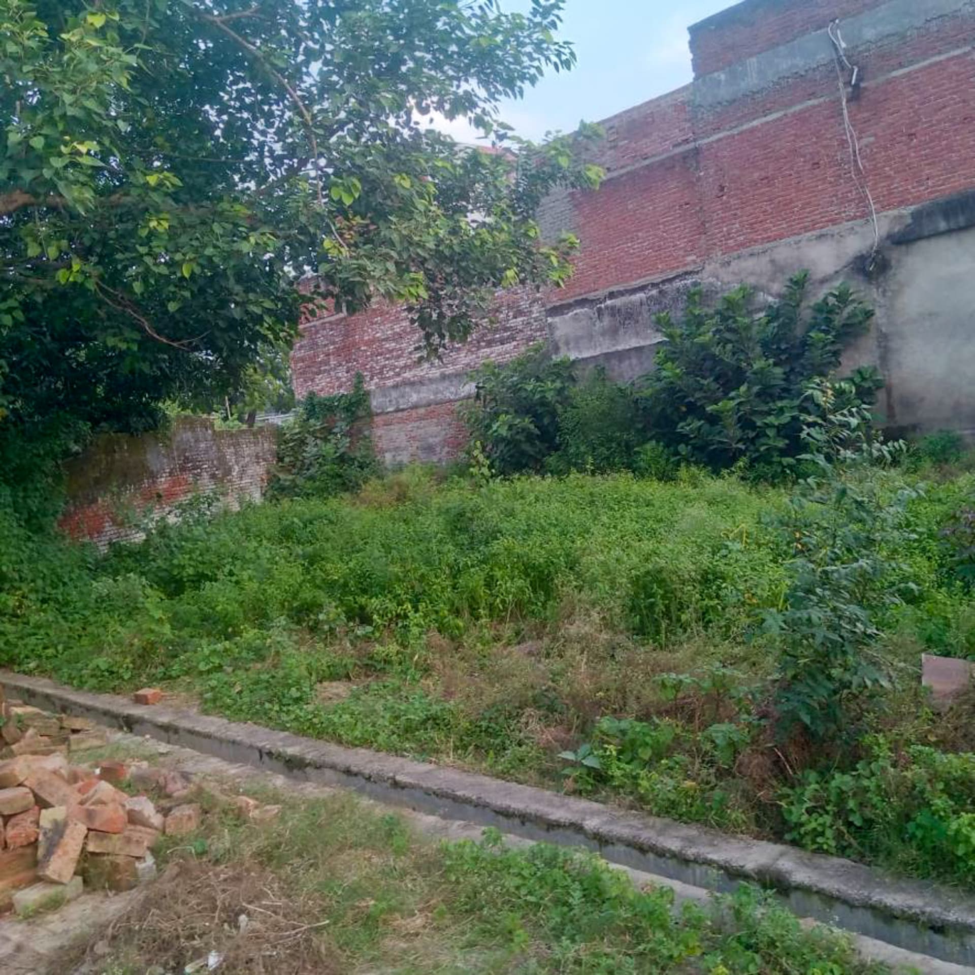 Property Photos 18