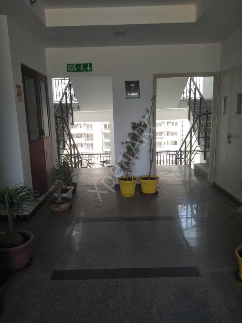 Property Photos 7