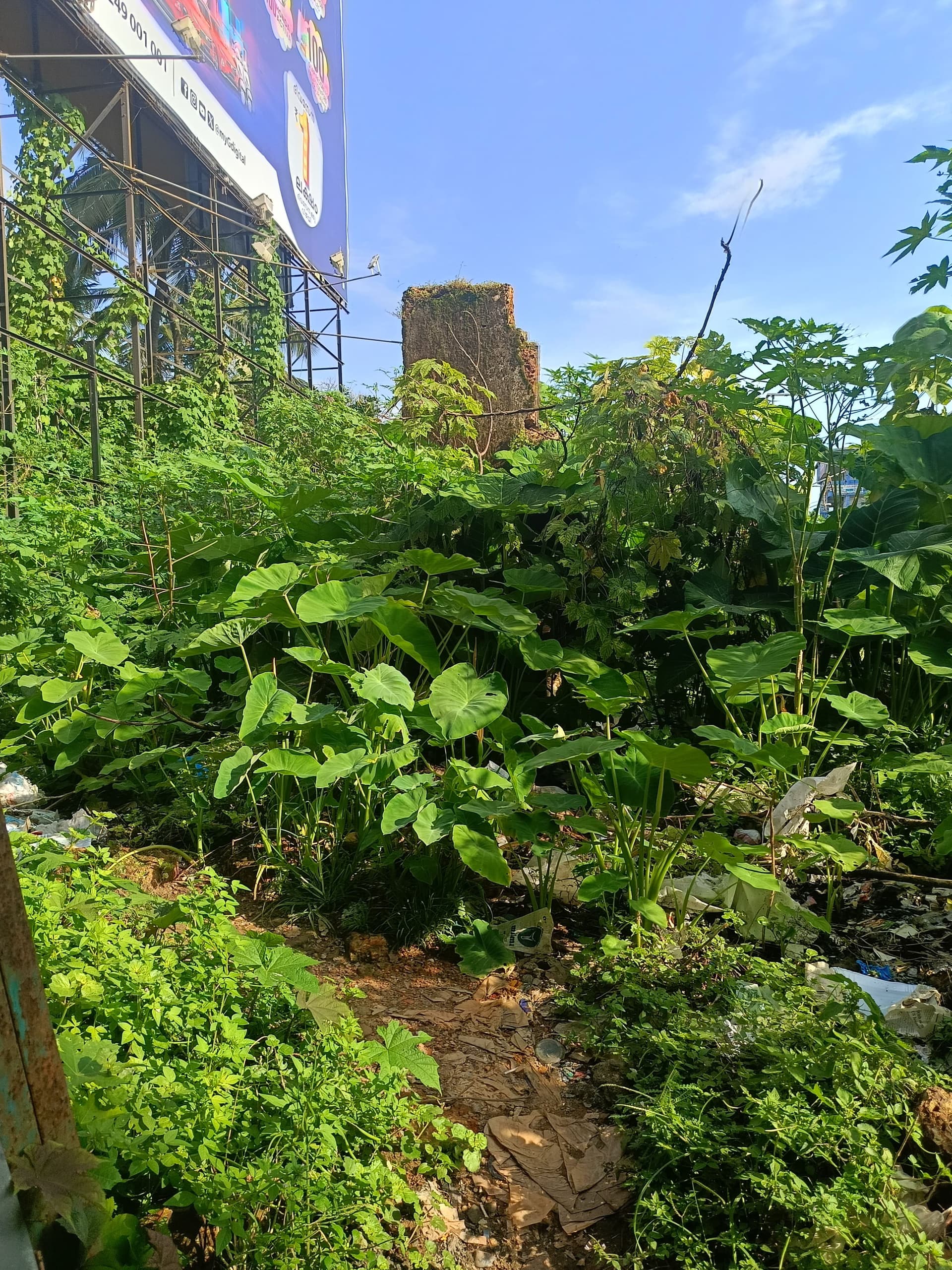 Property Photos 4