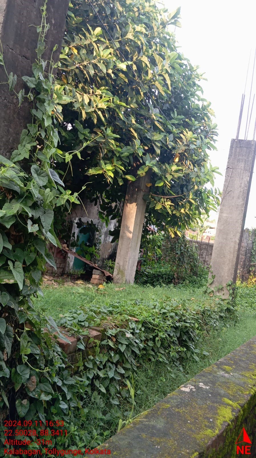 Property Photos 8