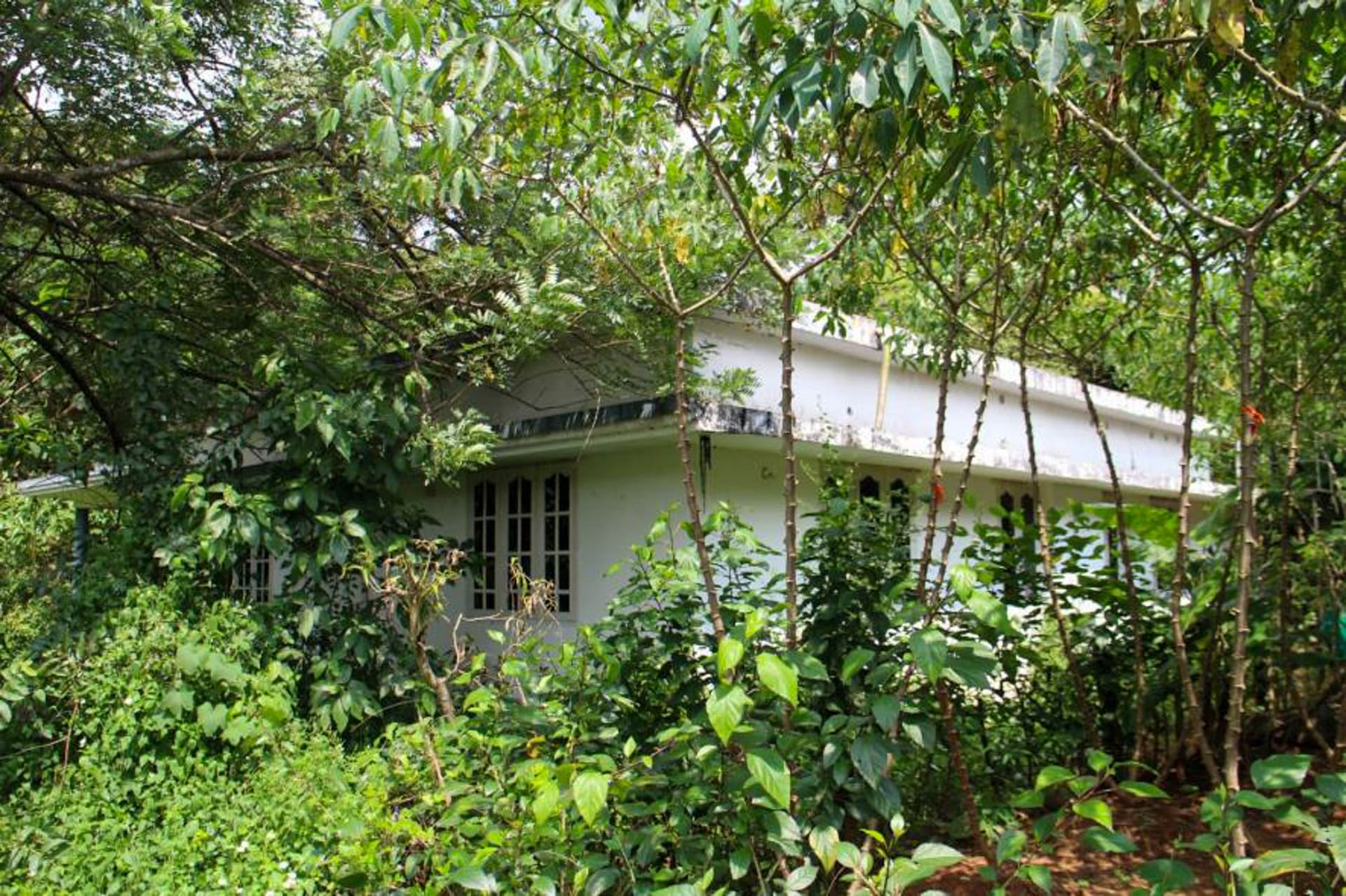 Property Photos 16