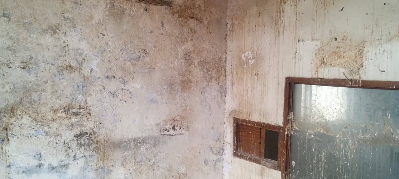 Property Photos 7