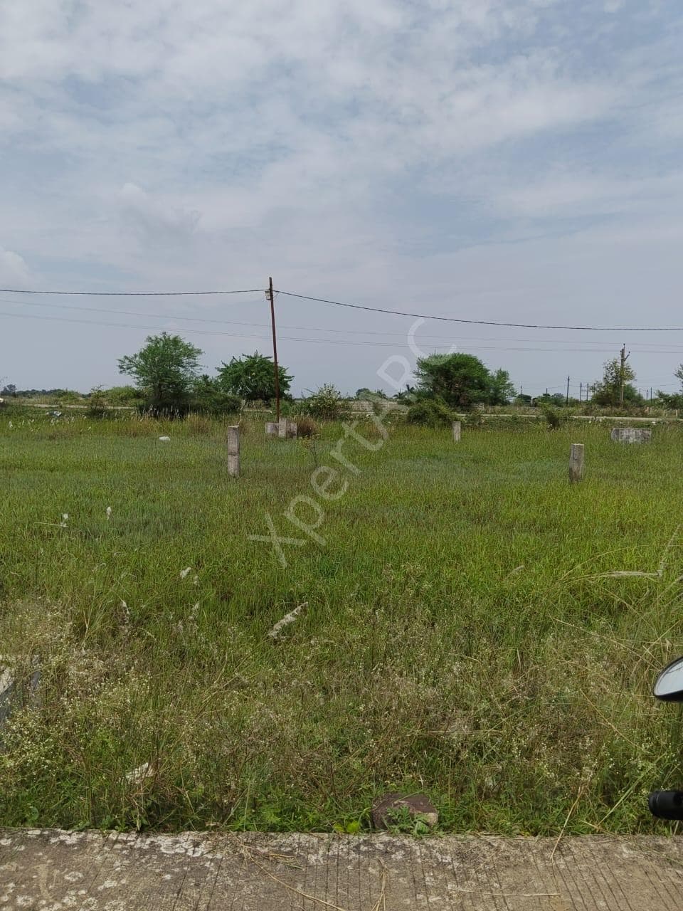 Property Photos 6
