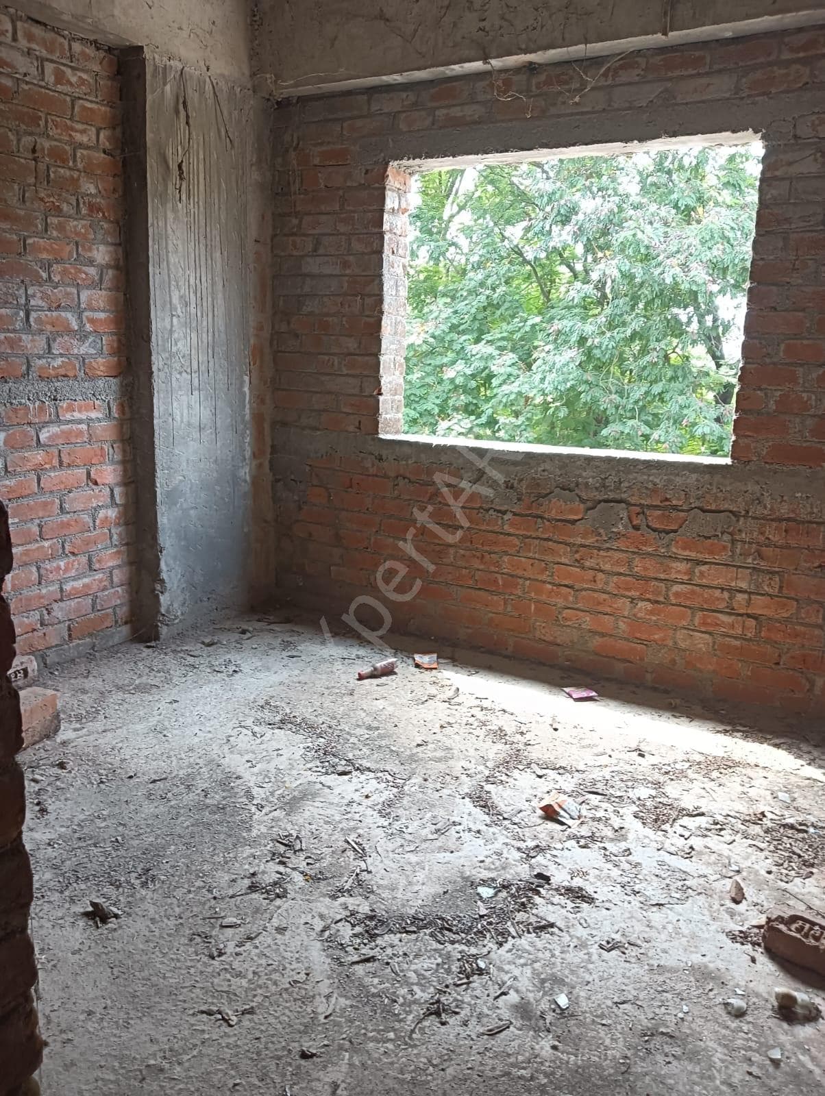 Property Photos 4