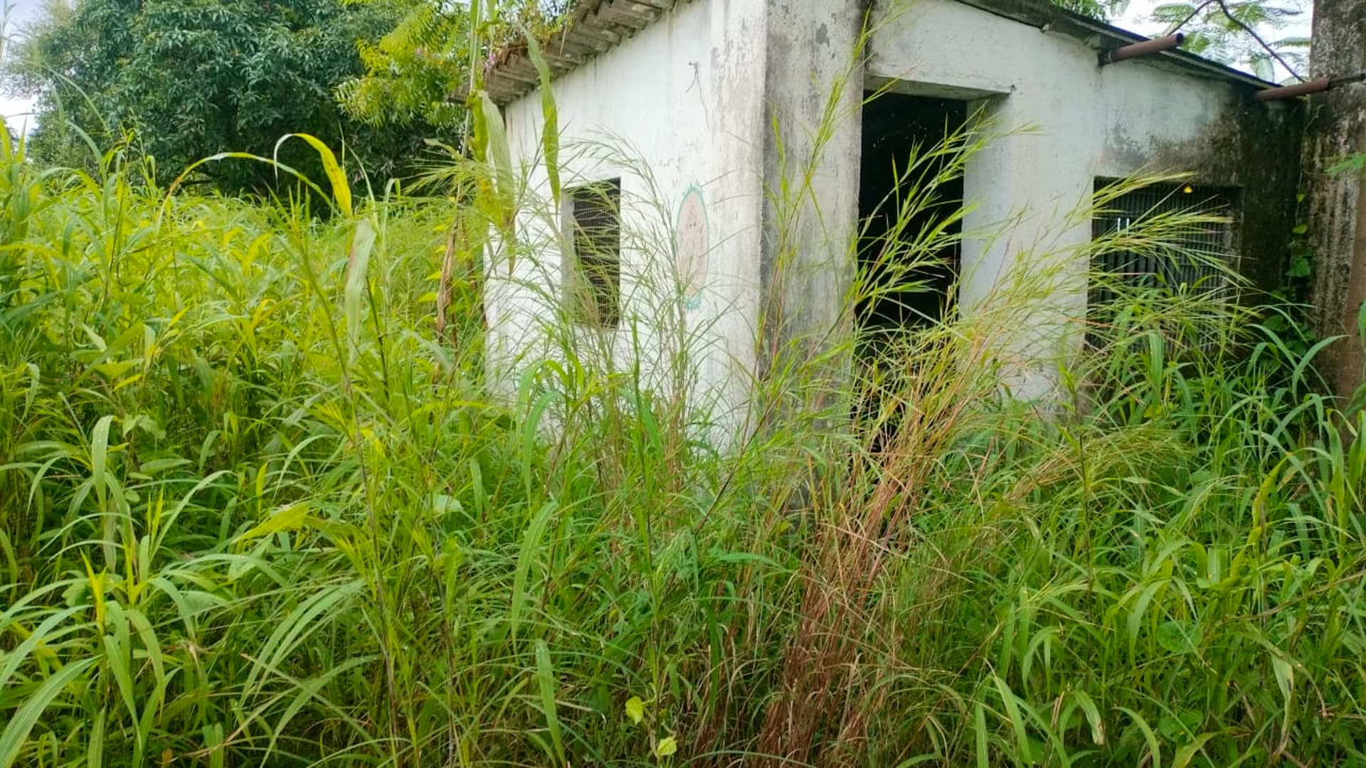 Property Photos 2