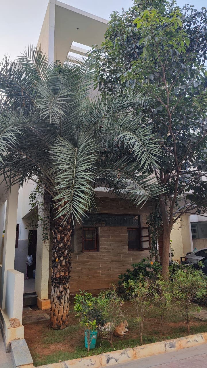 Property Photos 2