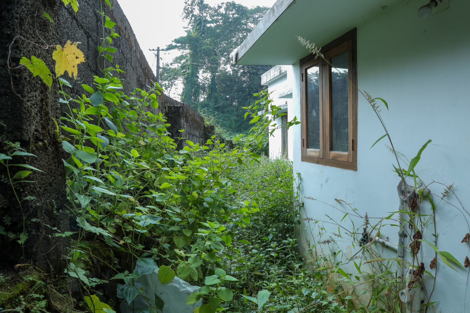Property Photos 23