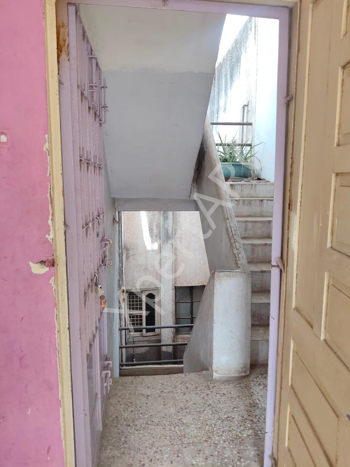 Property Photos 6