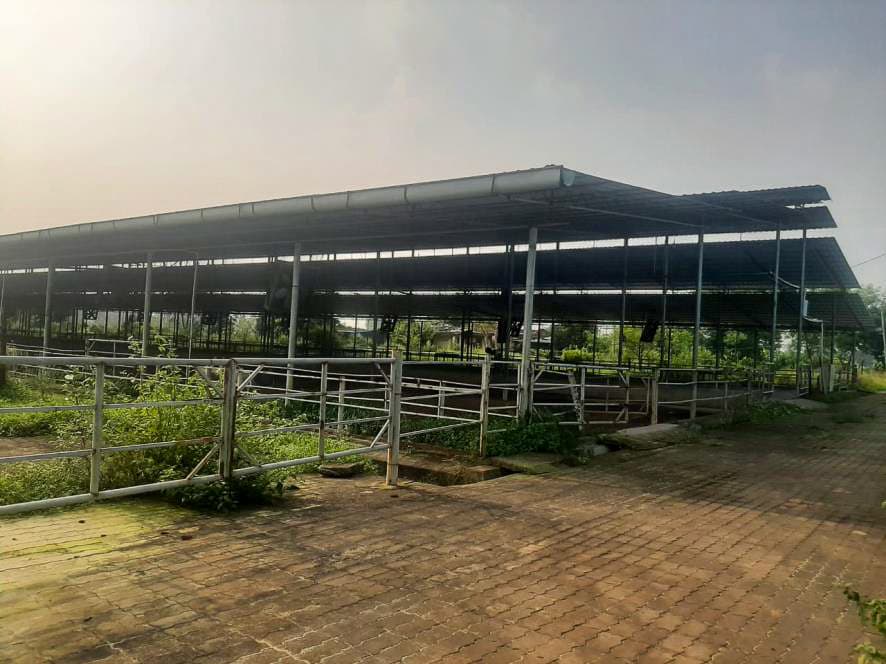 Property Photos 5