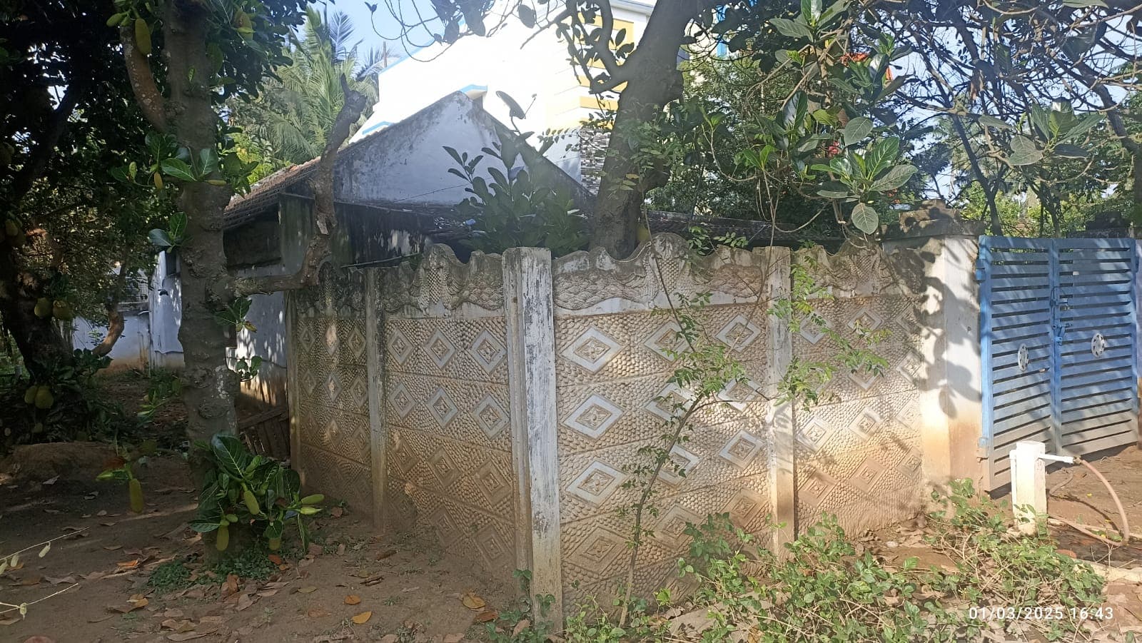 Property Photos 2