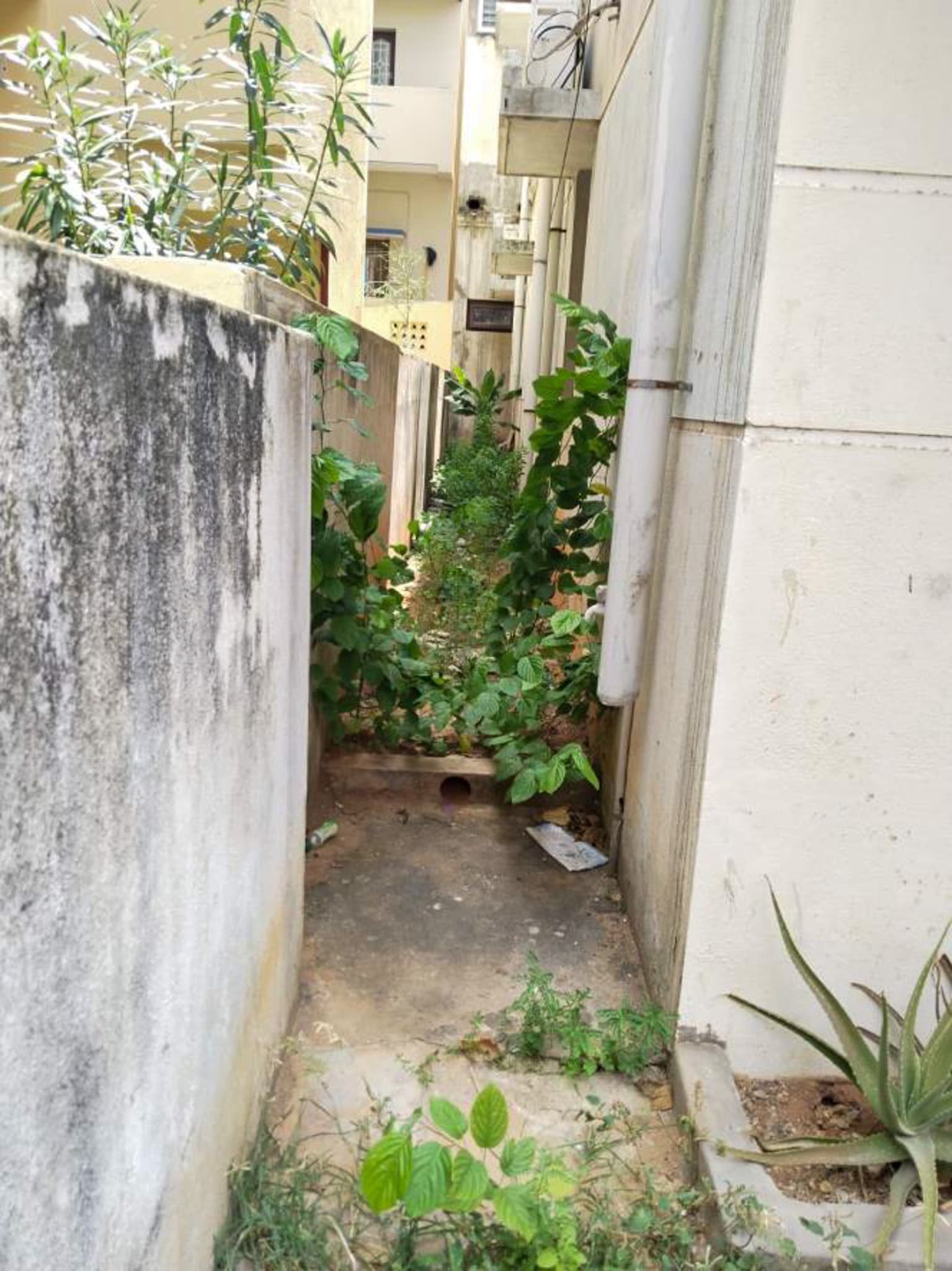 Property Photos 22