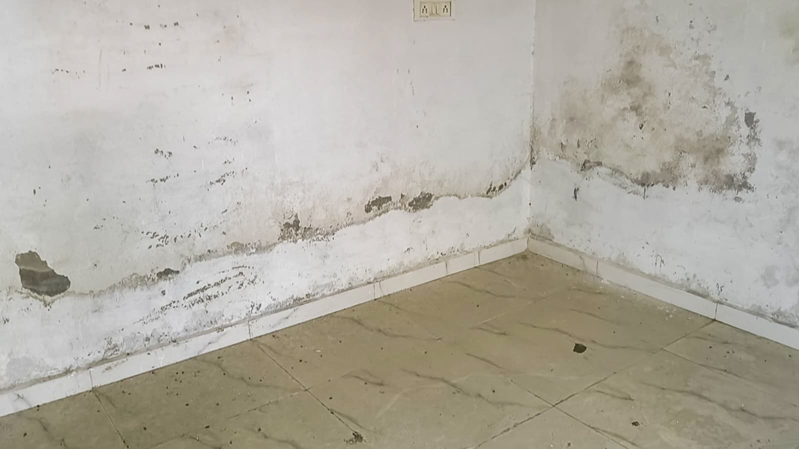 Property Photos 4
