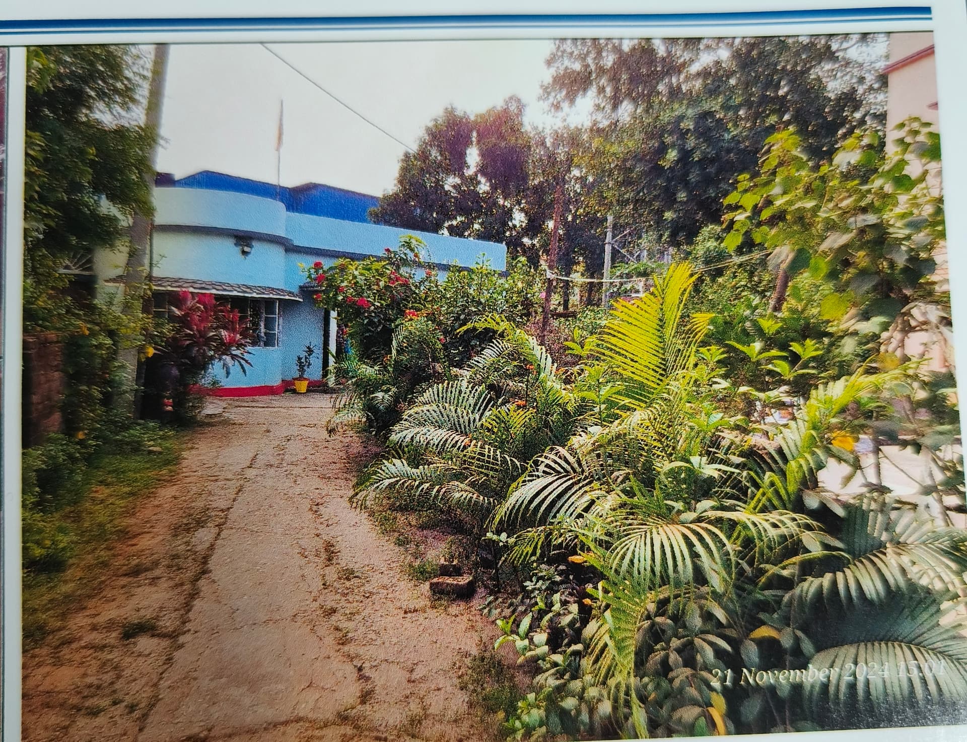 Property Photos 4