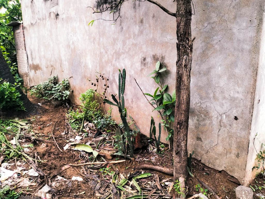 Property Photos 9