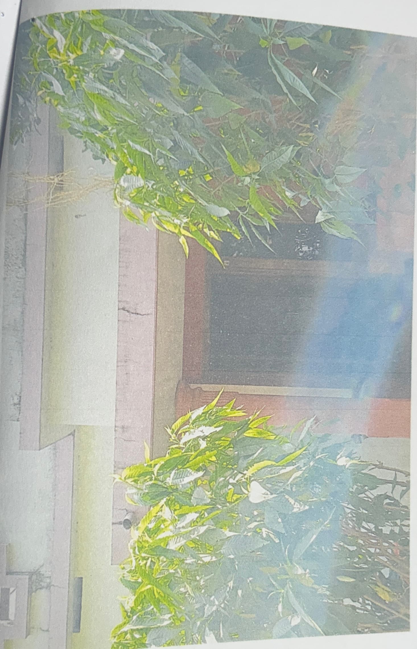 Property Photos 3
