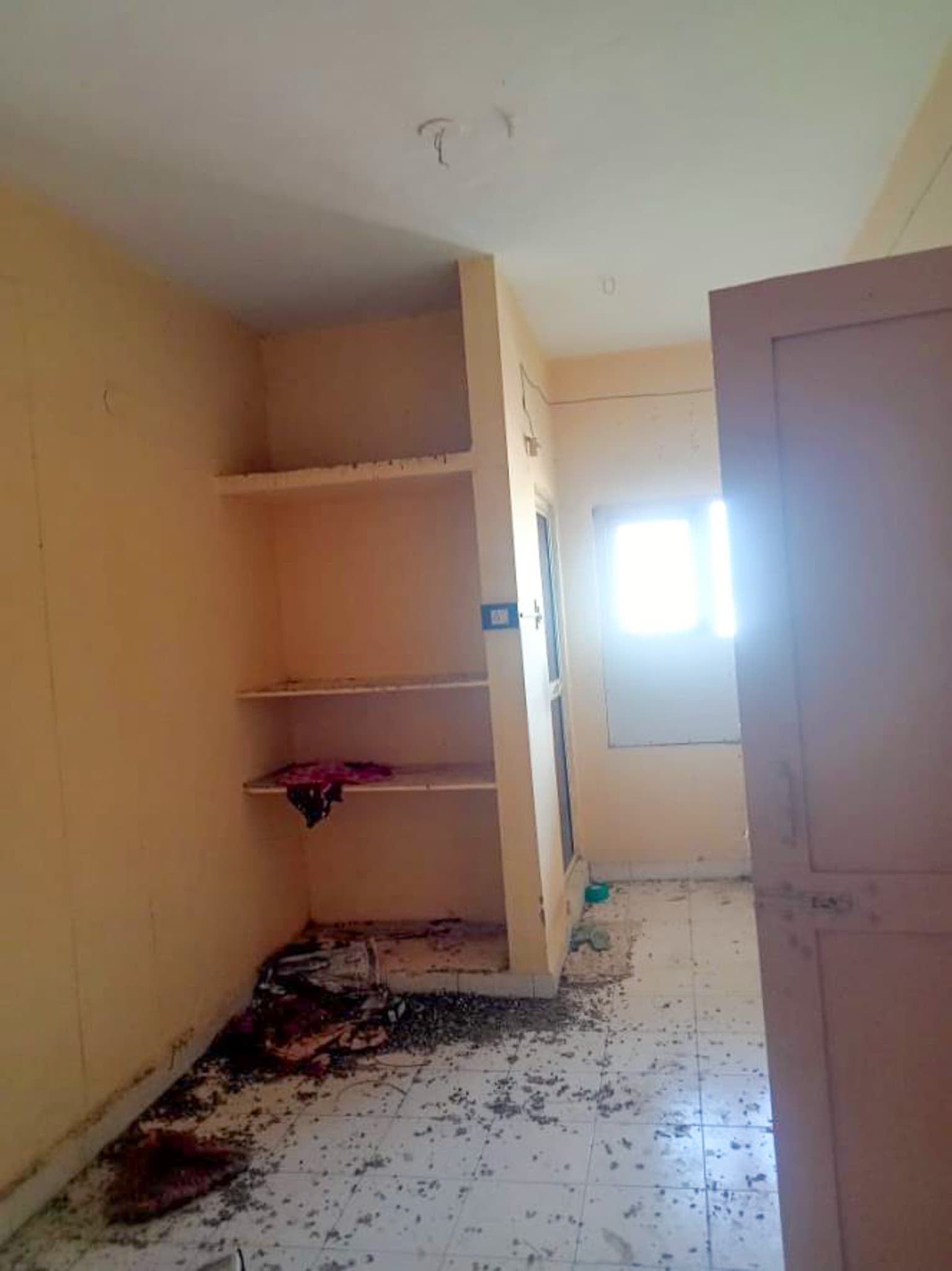 Property Photos 6