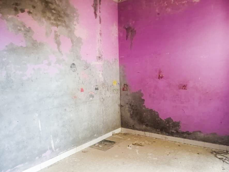 Property Photos 45