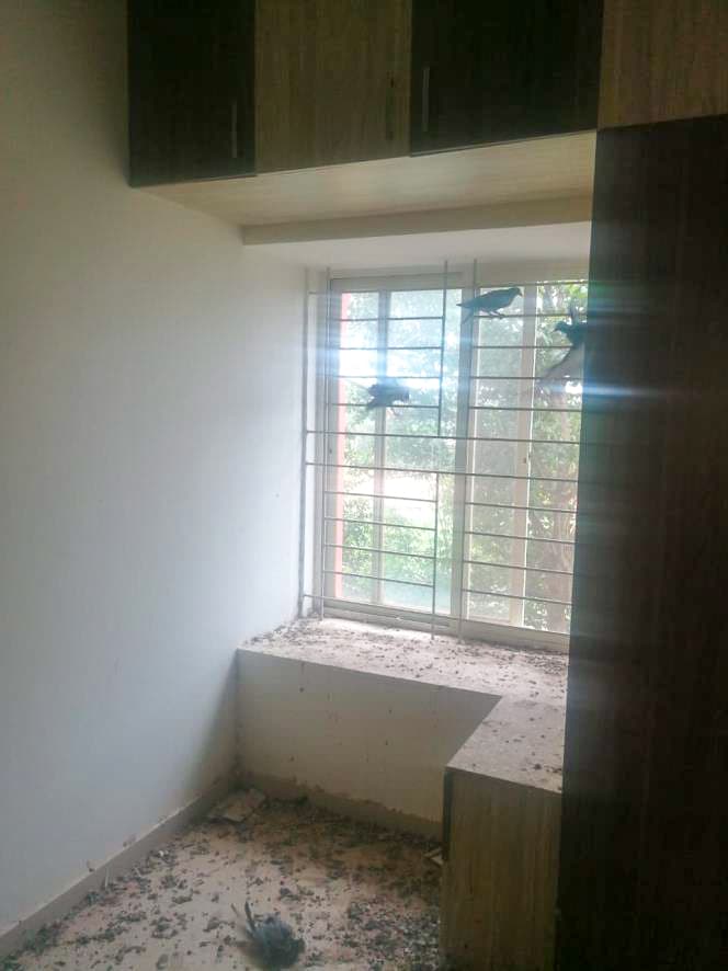 Property Photos 7
