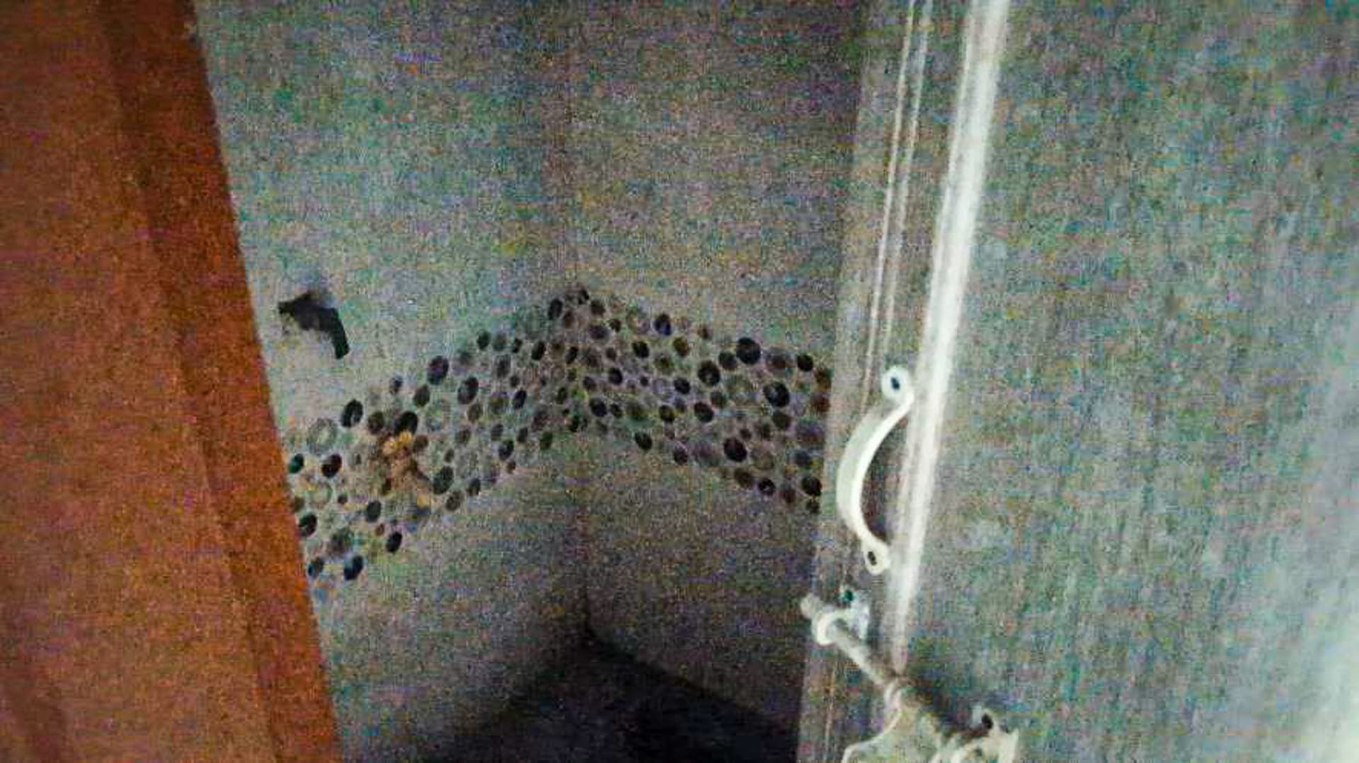 Property Photos 16