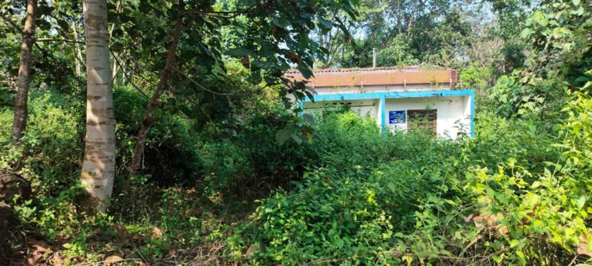 Property Photos 8
