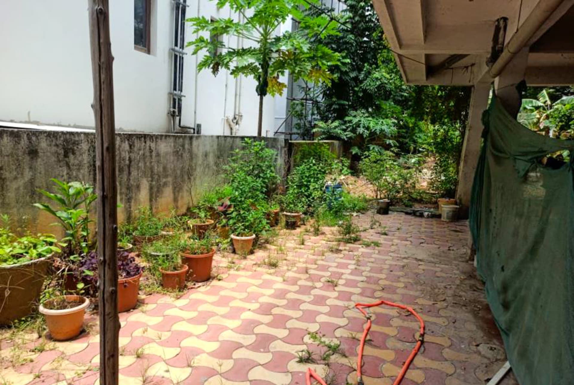 Property Photos 47