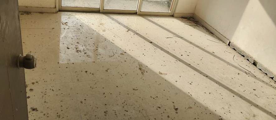 Property Photos 99