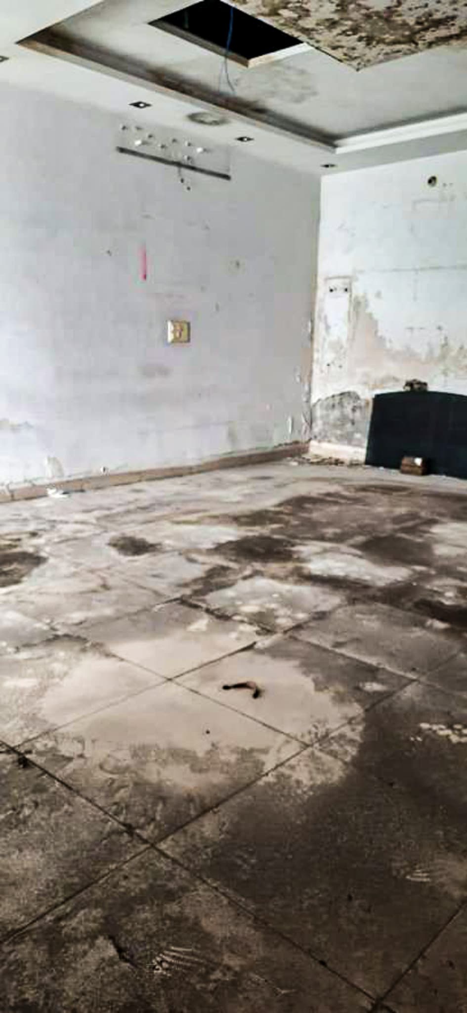 Property Photos 15