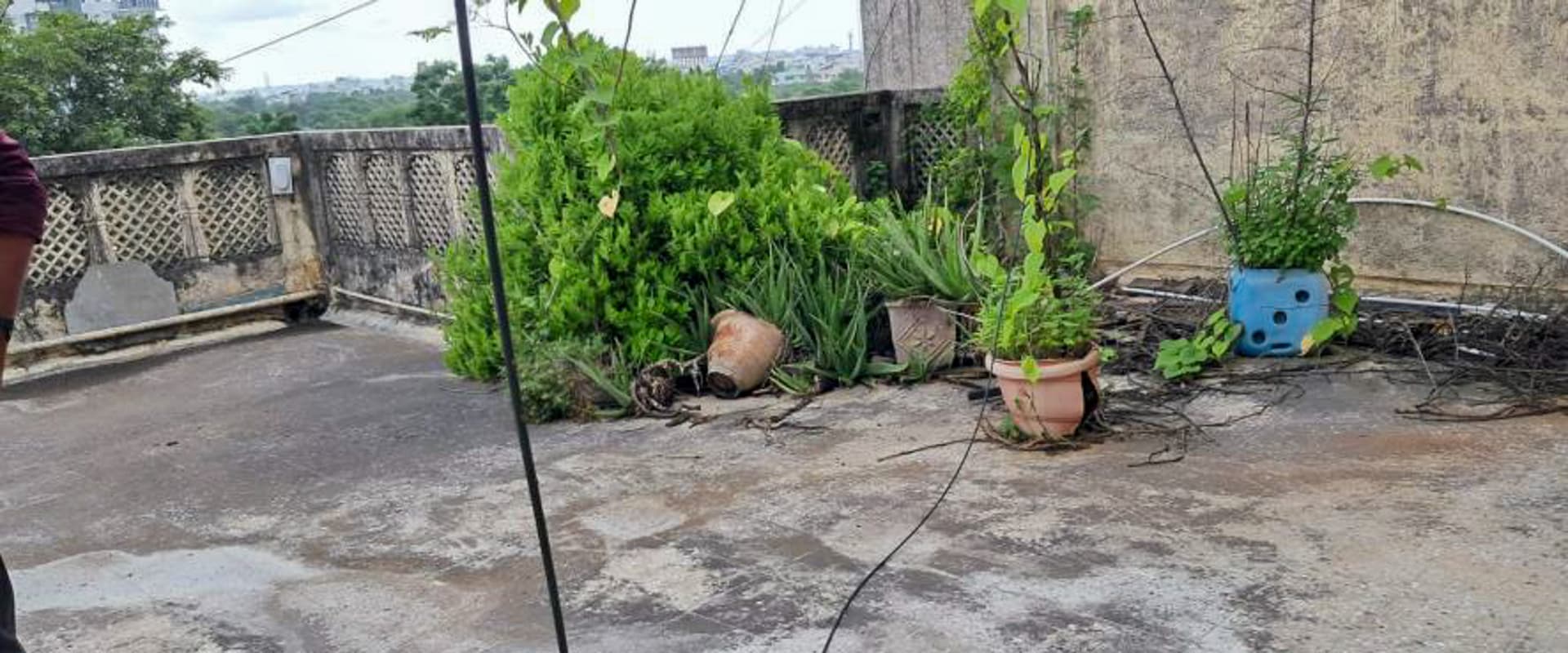 Property Photos 4