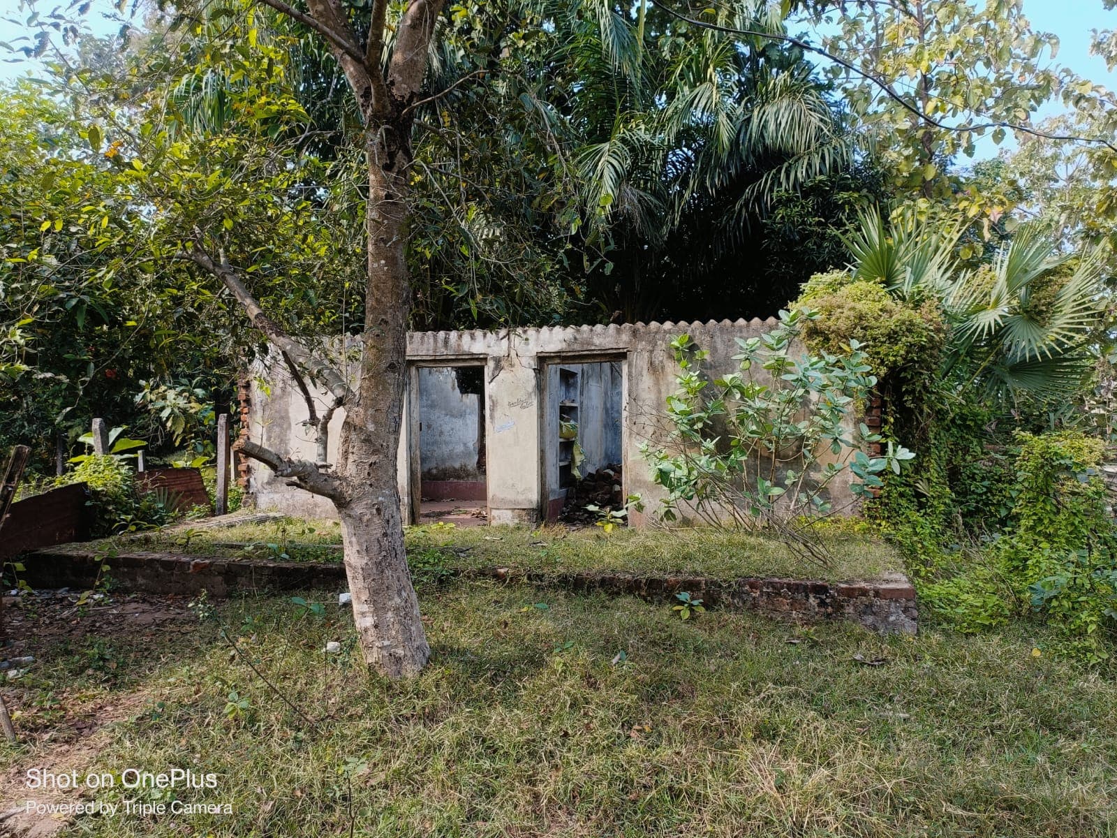 Property Photos 2