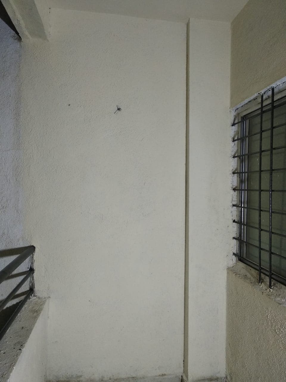 Property Photos 3