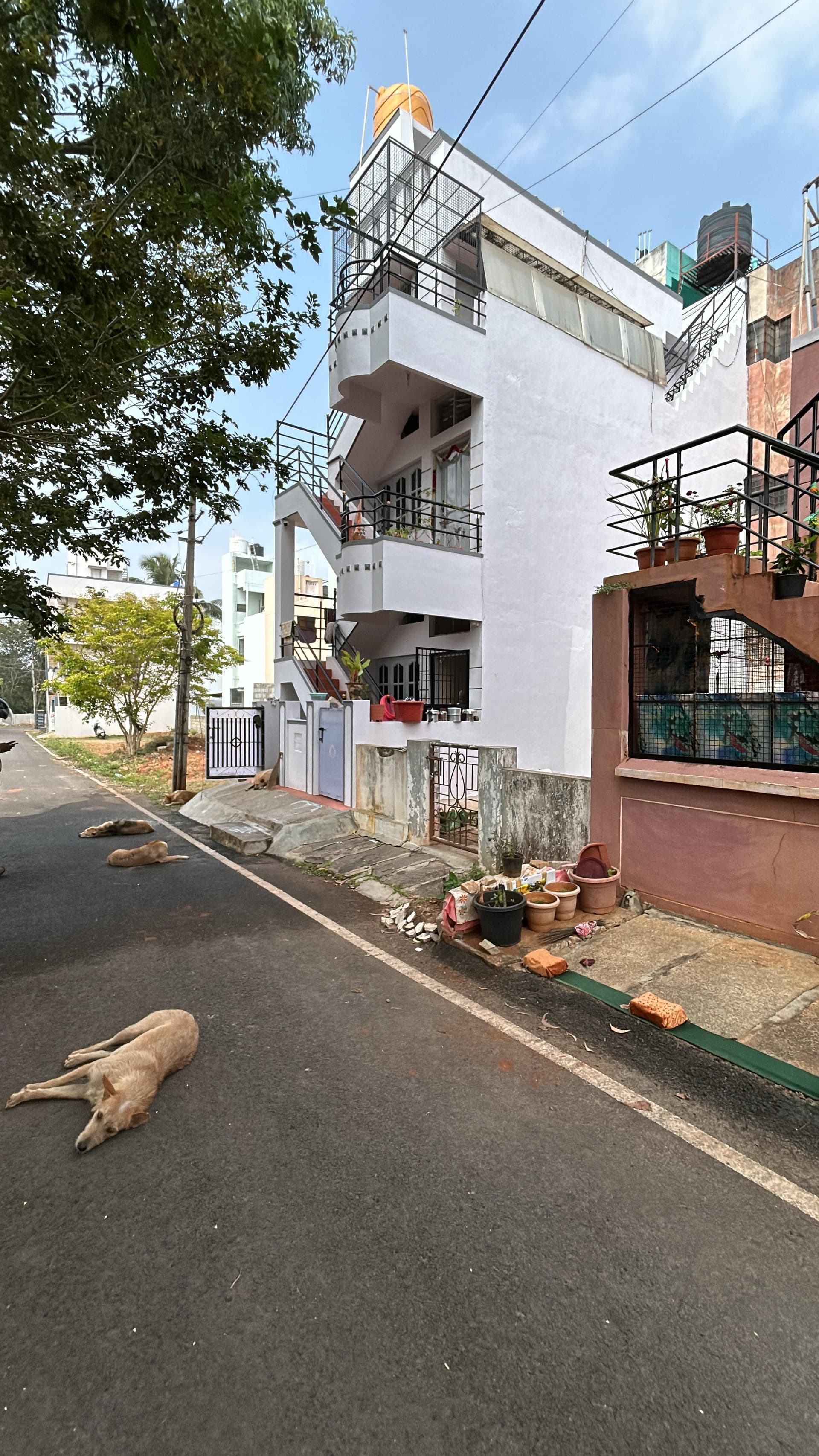 Property Photos 3