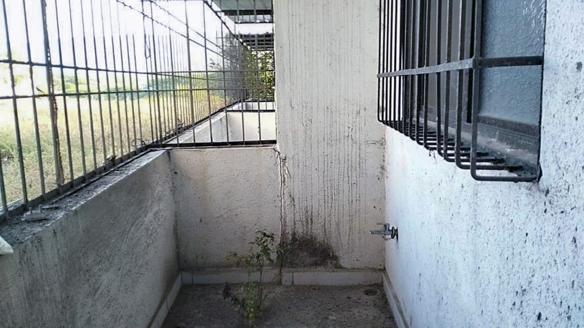 Property Photos 8