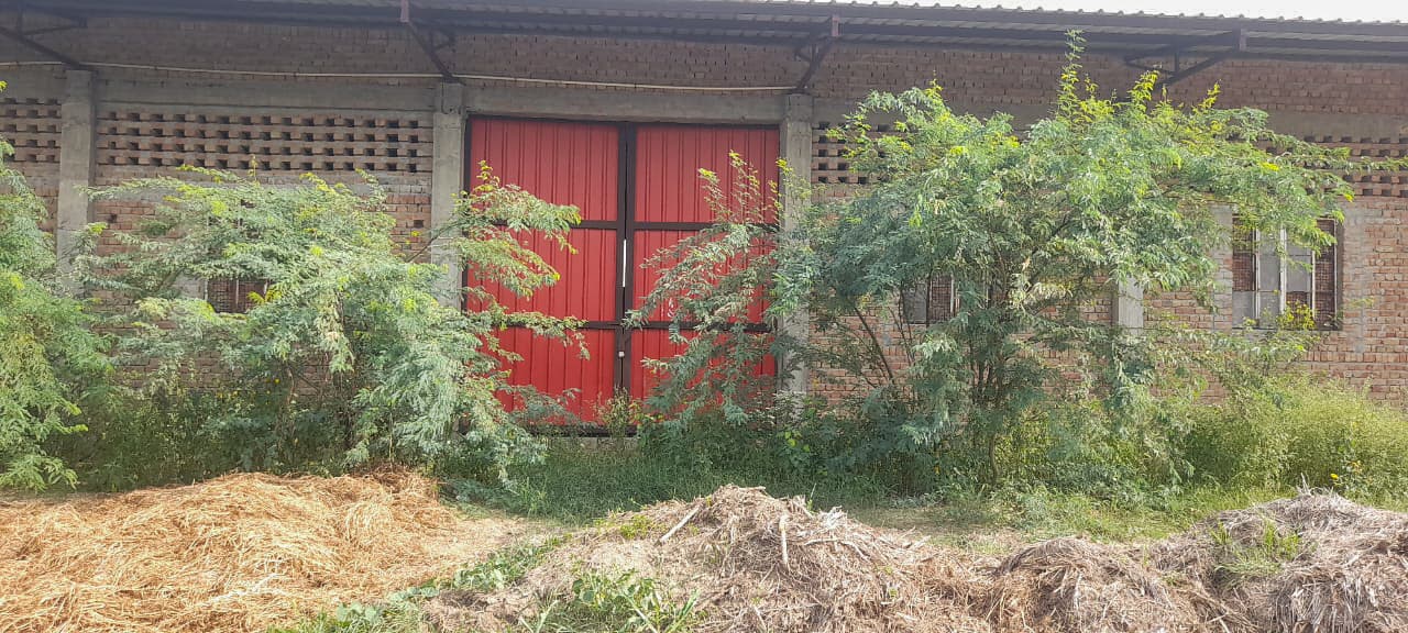 Property Photos 4