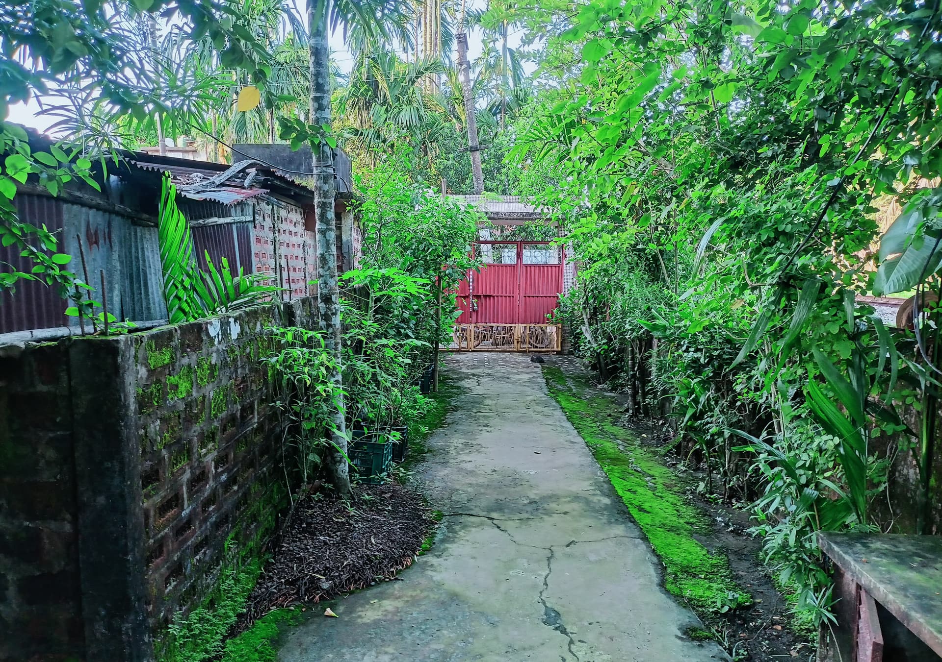 Property Photos 4