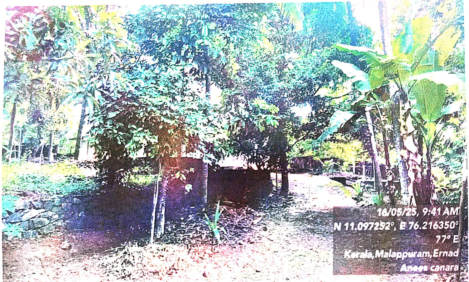 Property Photos 2