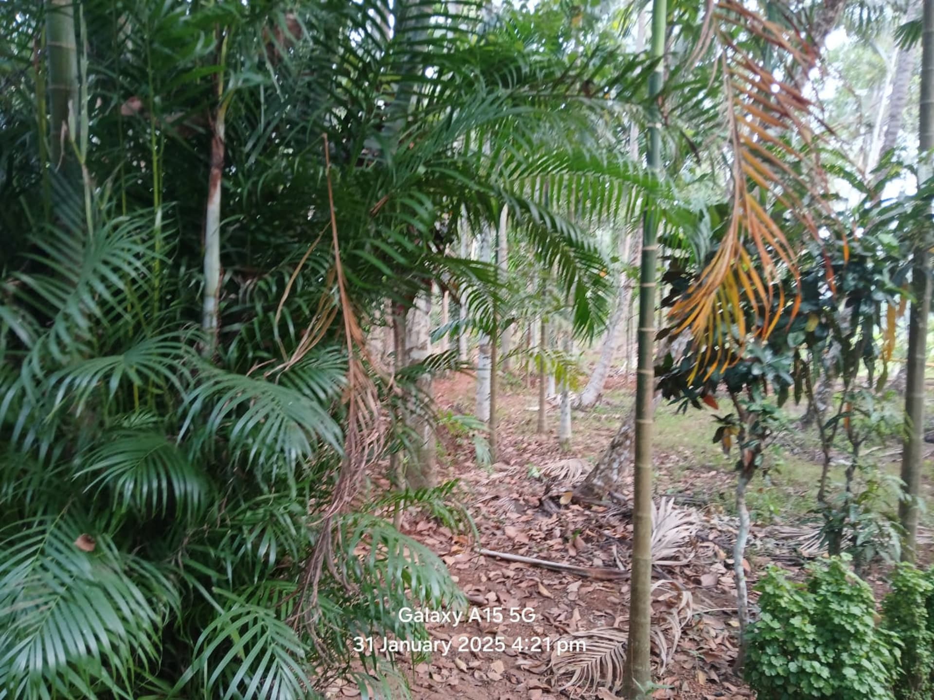 Property Photos 2