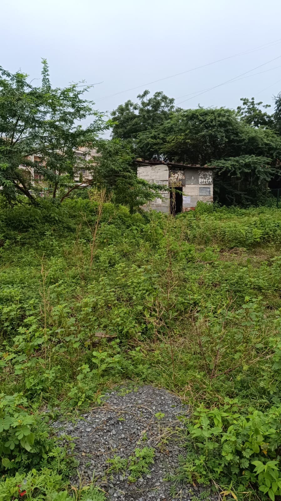 Property Photos 2