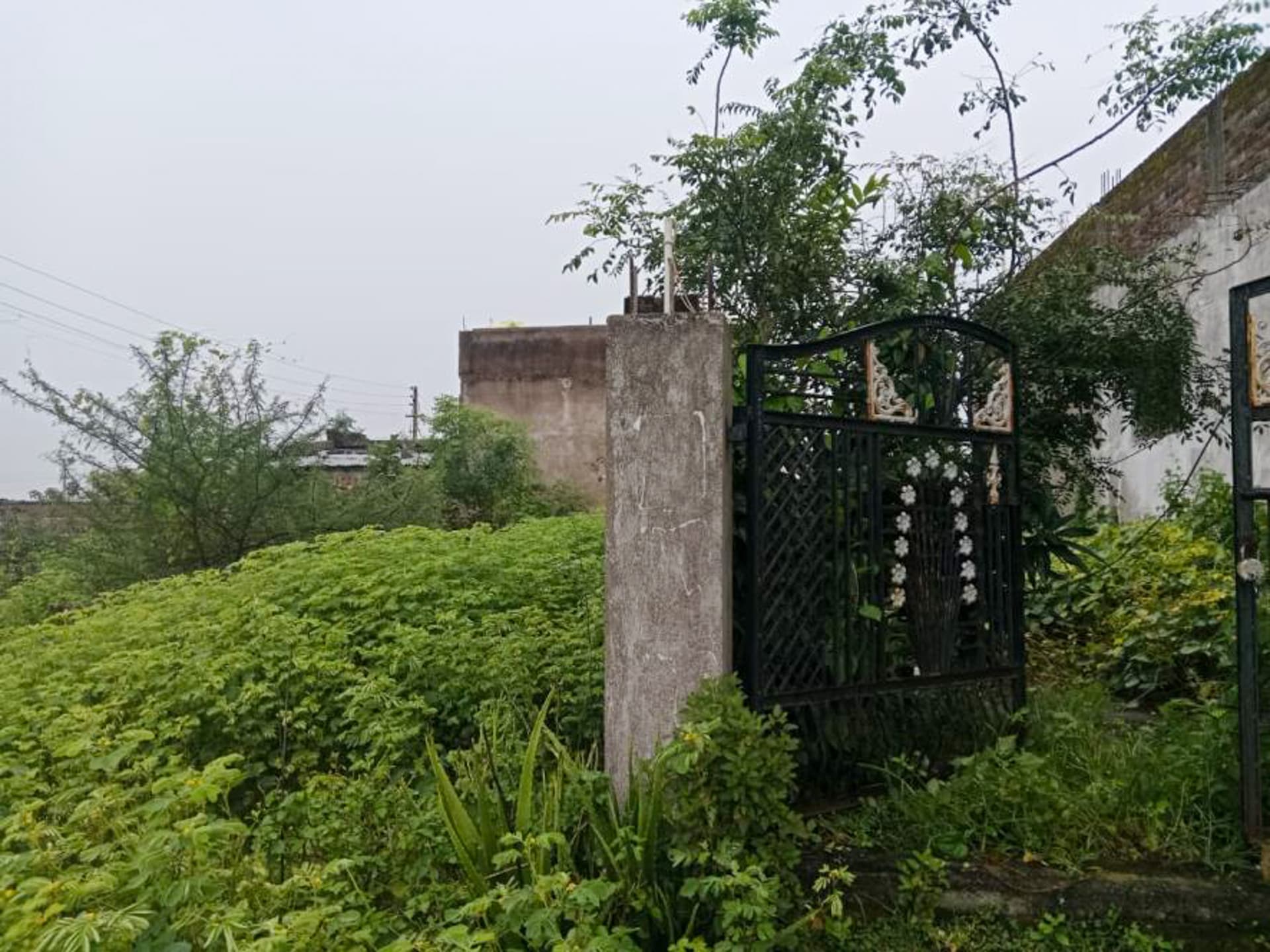 Property Photos 2