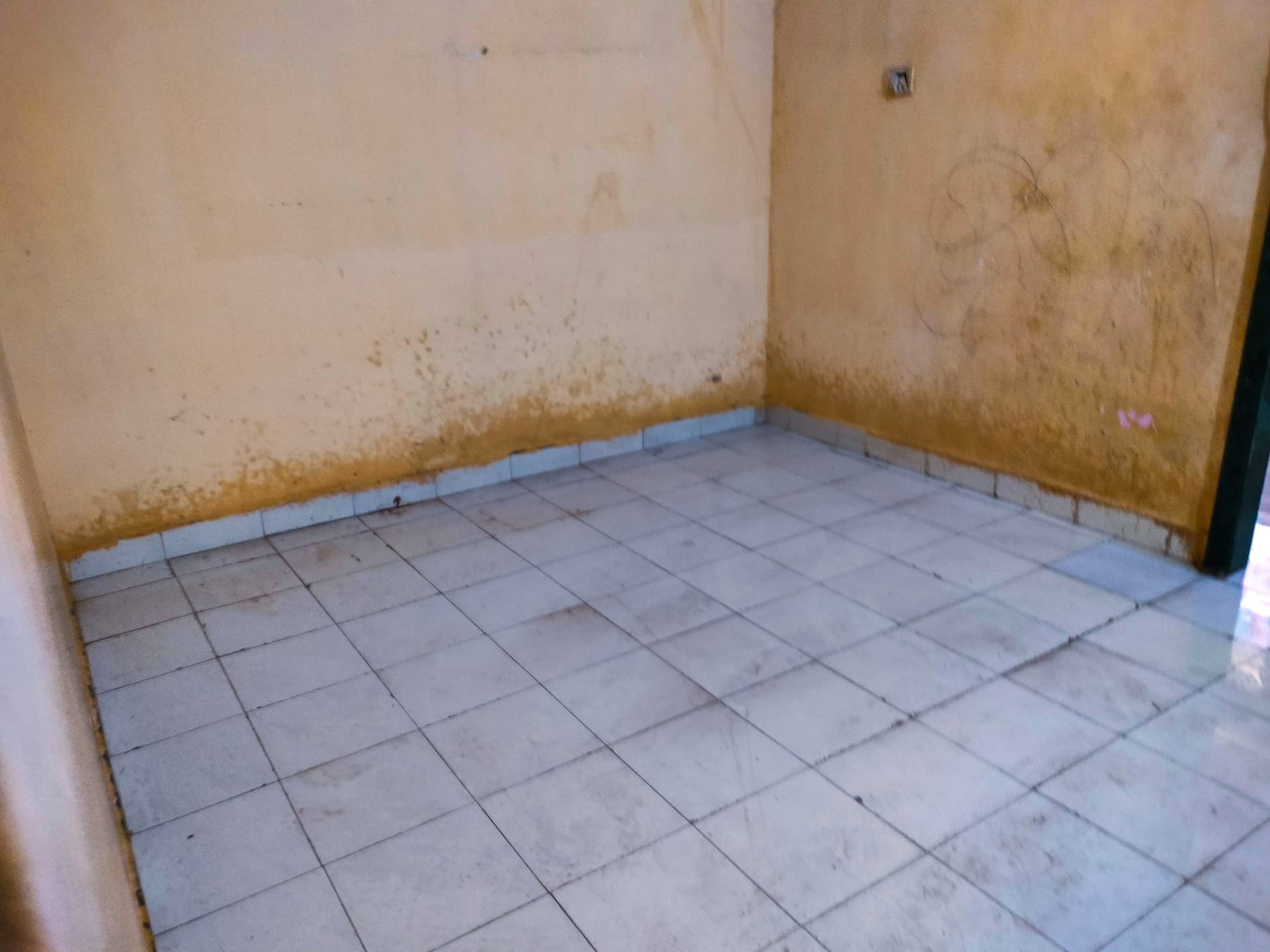Property Photos 5