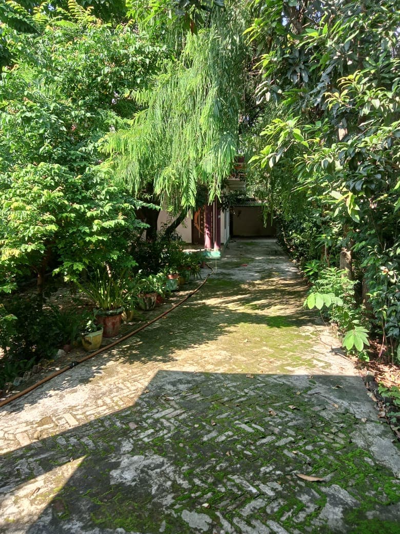 Property Photos 2