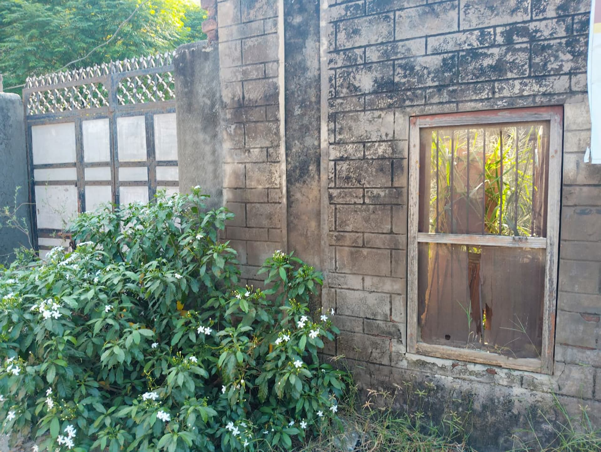 Property Photos 7