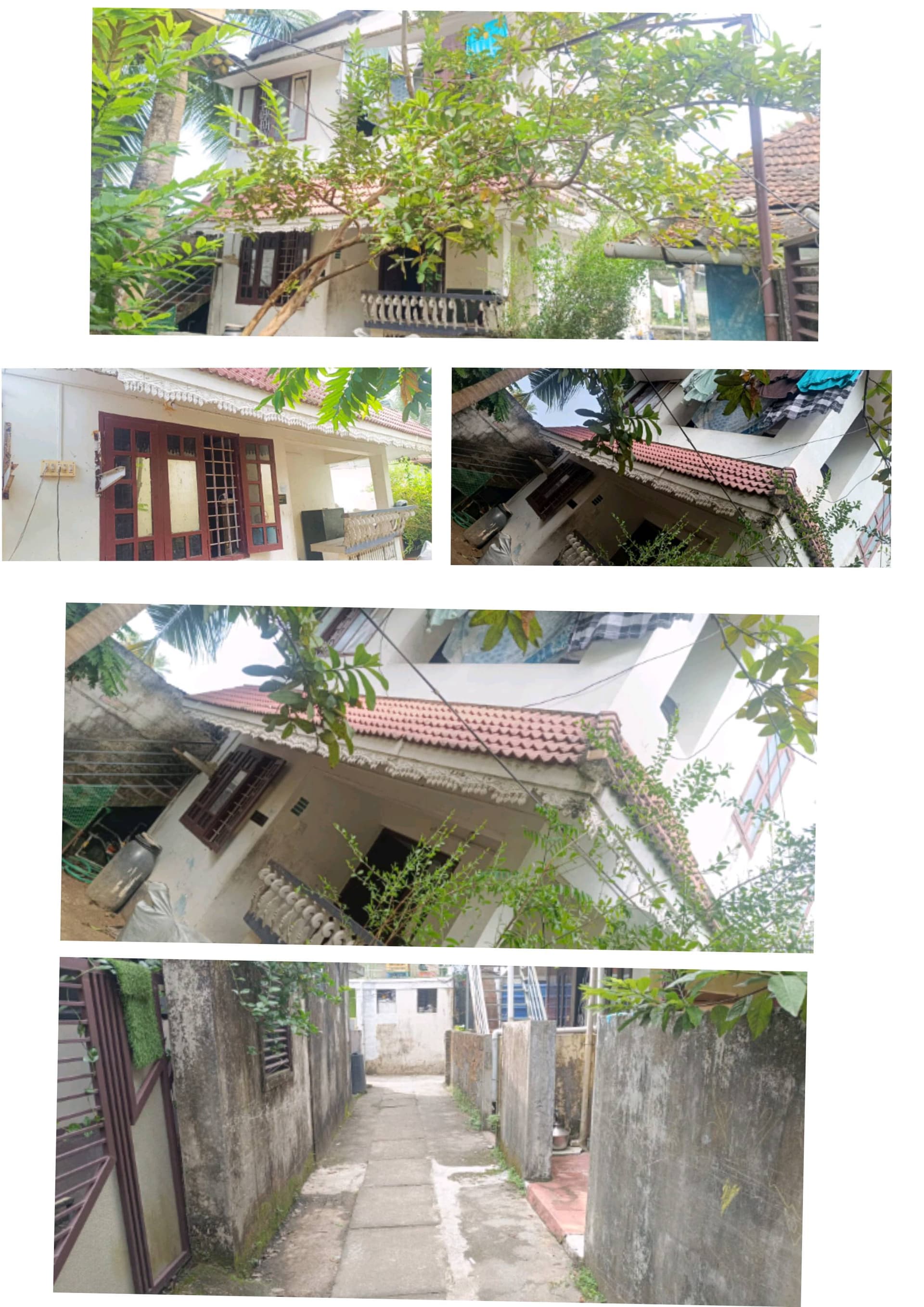 Property Photos 4